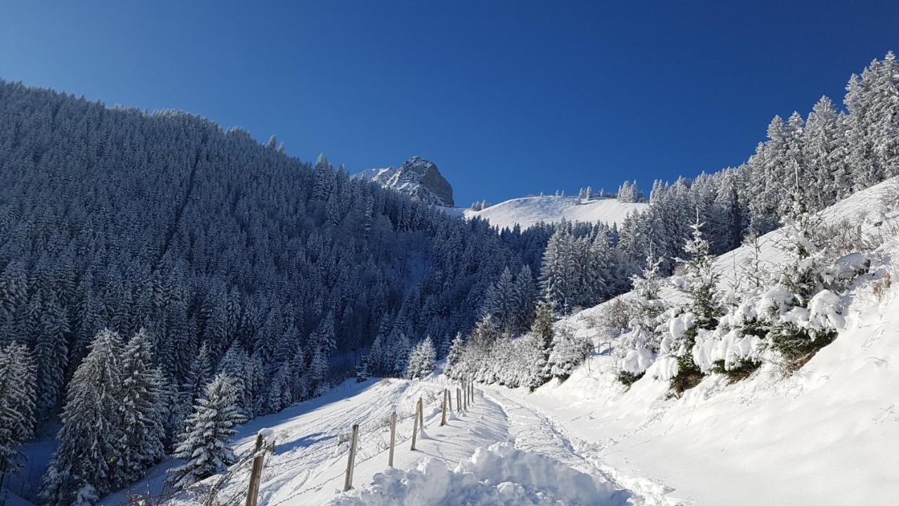 Charming Chalet With Panoramic View And Private Parking In Gruyere Gruyeres Buitenkant foto